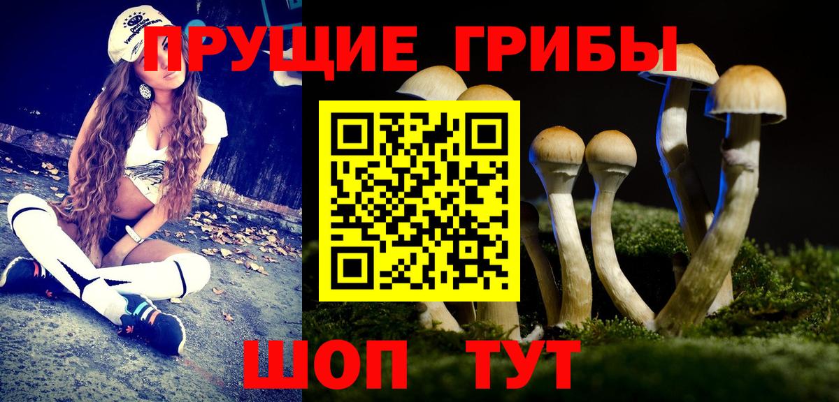 Галлюциногенные грибы Cubensis Орёл