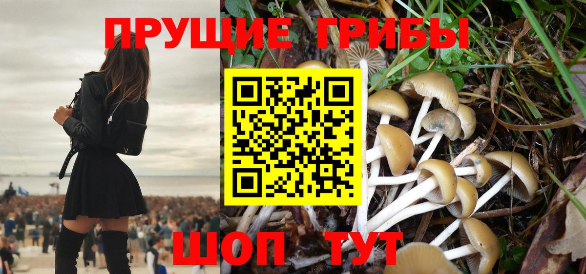 Орёл  Псилоцибиновые грибы Psilocybe  Вход с VPN 
